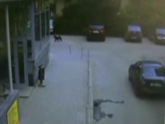 Woman Driver Parking FAIL